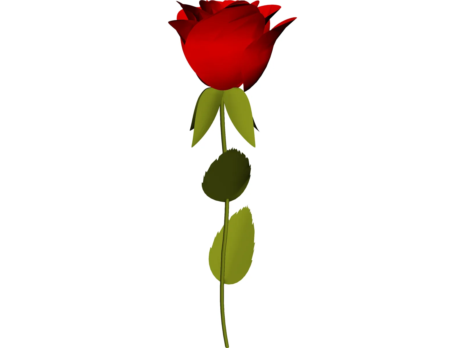 Rose 3D Model main preview