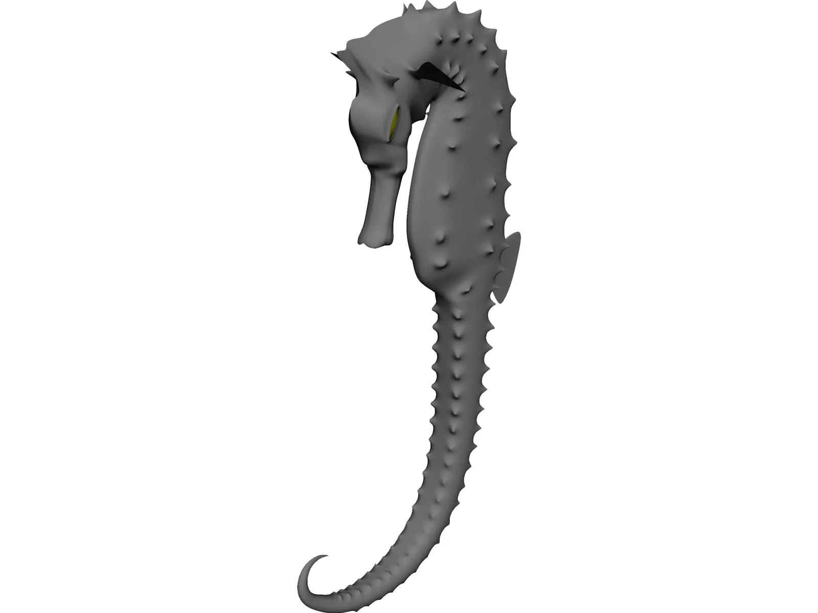 Hippocampe 3D Model main preview