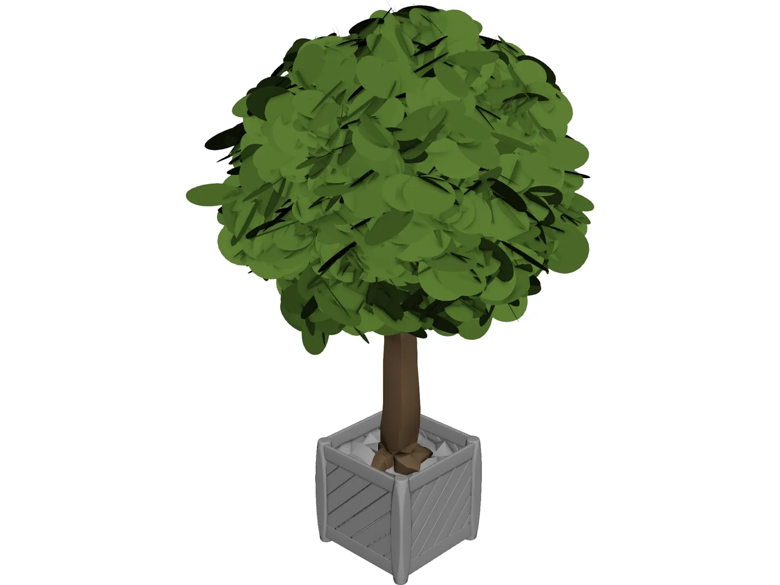 Tree 3D Model main preview