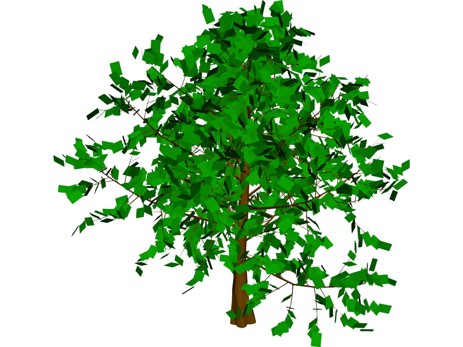 Baum Tree 3D Model main preview
