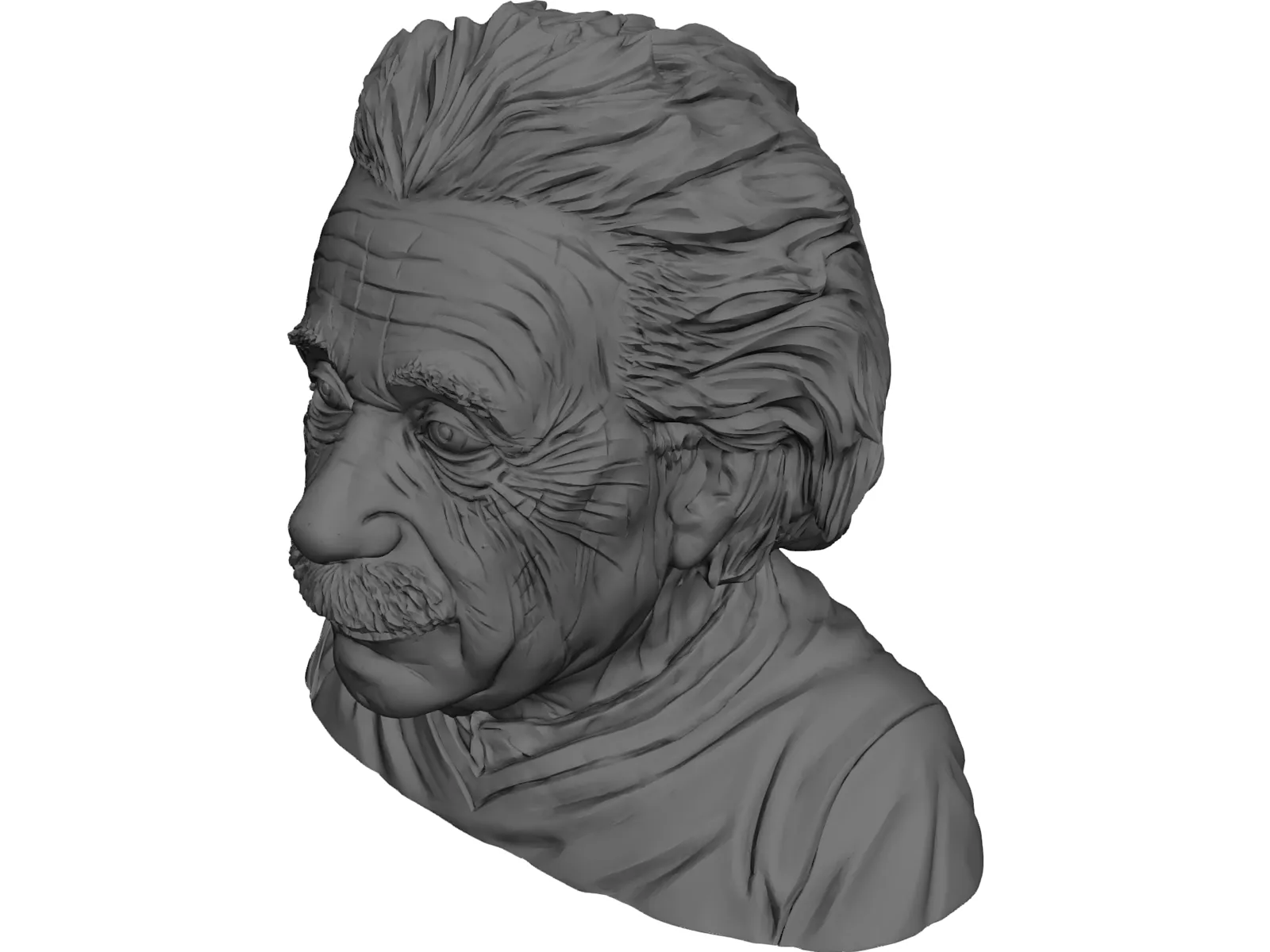 Albert Einstein 3D Model main preview