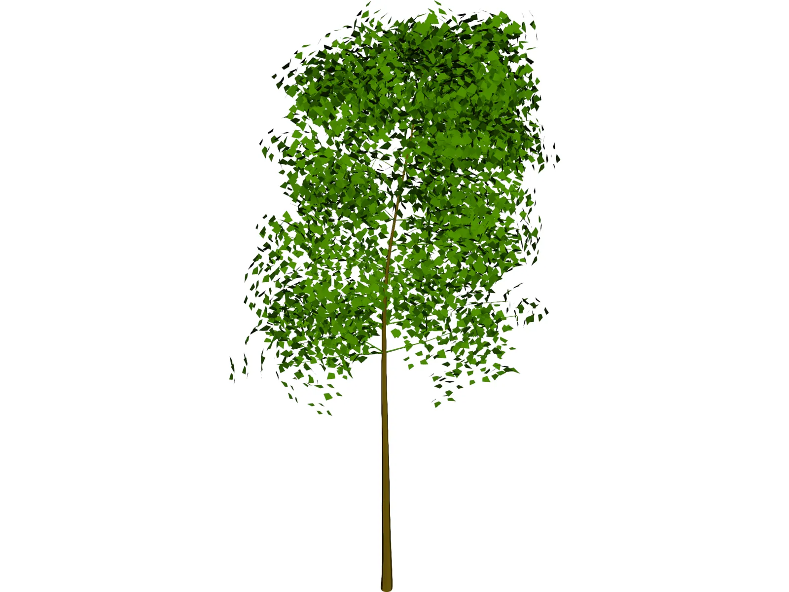 Tree 3D Model main preview