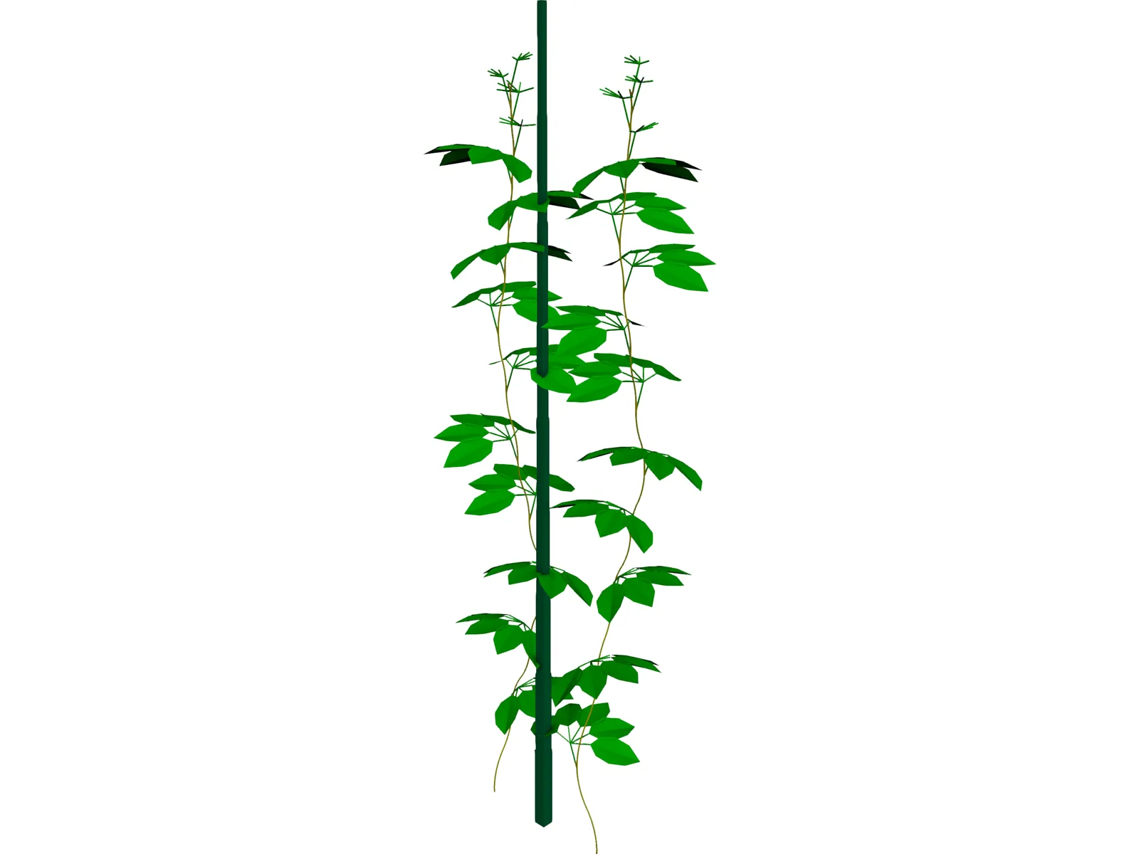 Plant 3D Model main preview