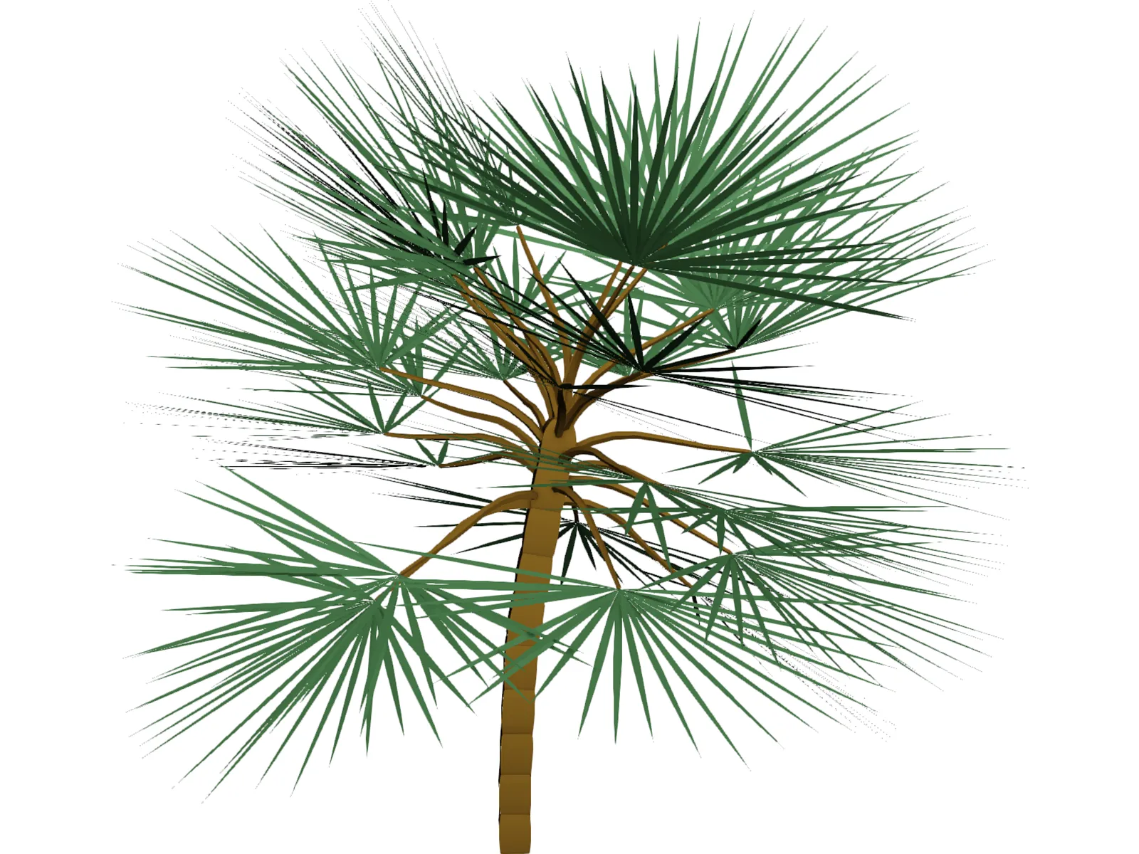 Palm 3D Model main preview
