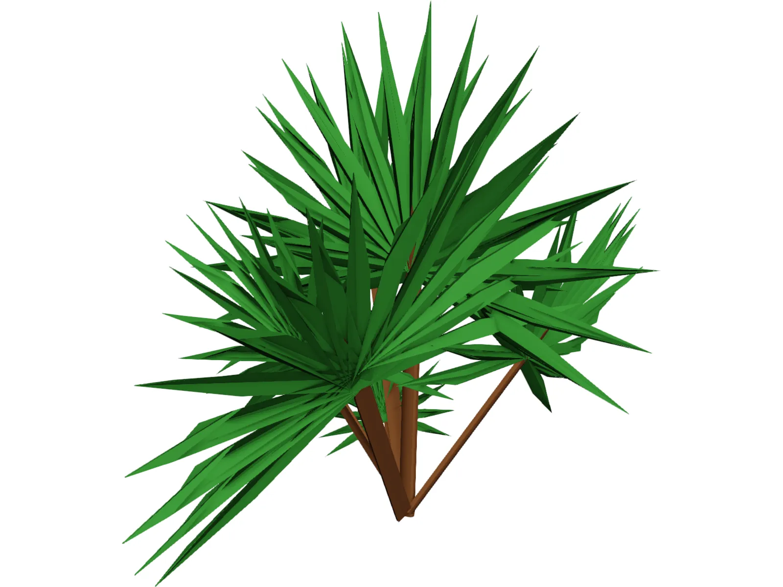Palmetto Plant 3D Model main preview