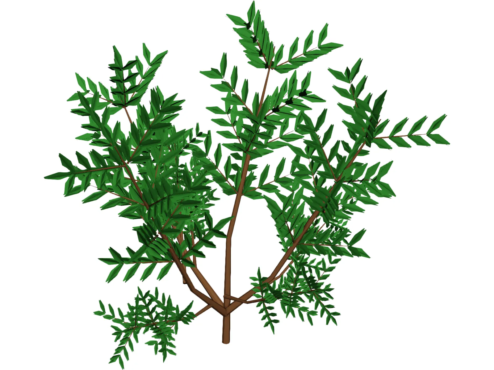 Azalea Bush 3D Model main preview