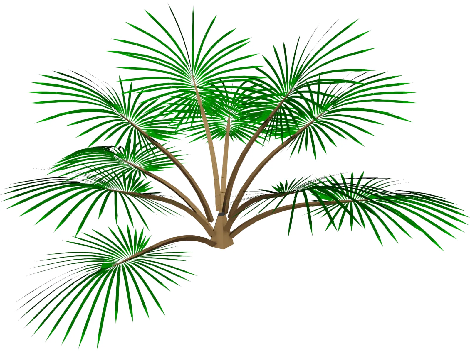 Palm Tree 3D Model main preview