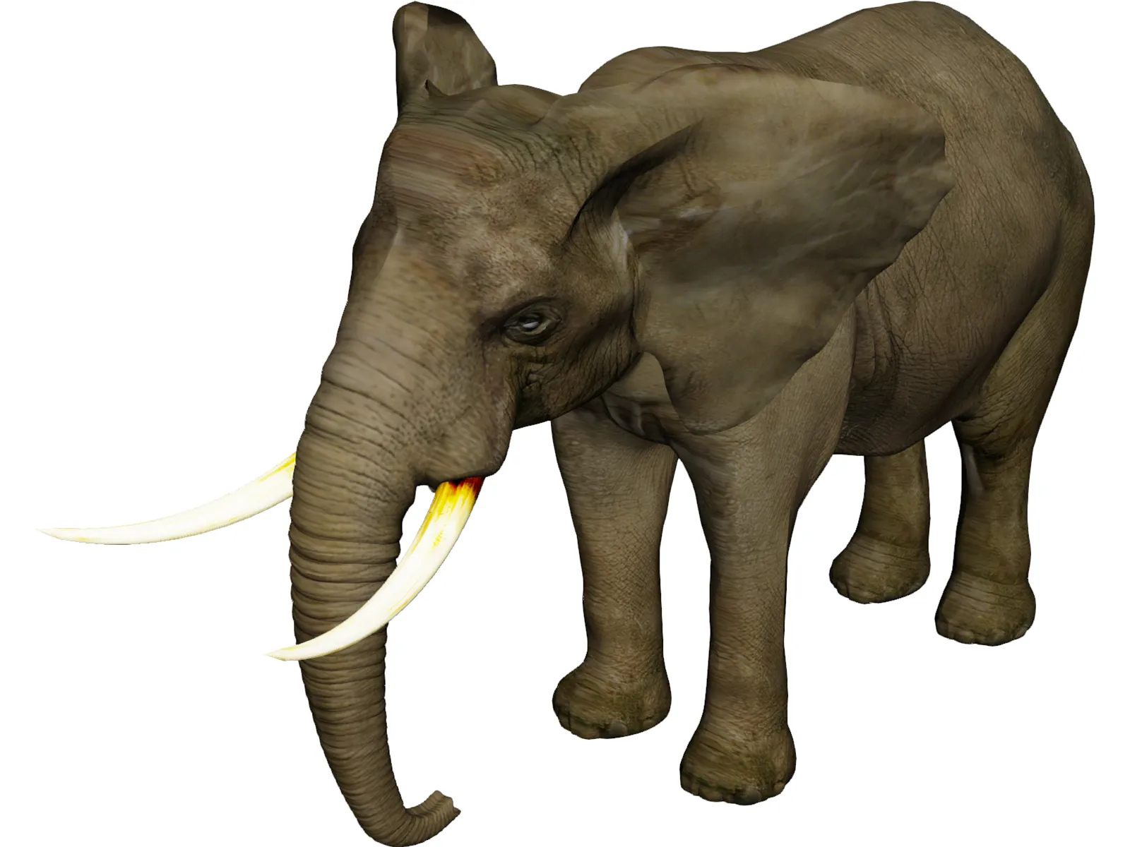 Elephant 3D Model main preview