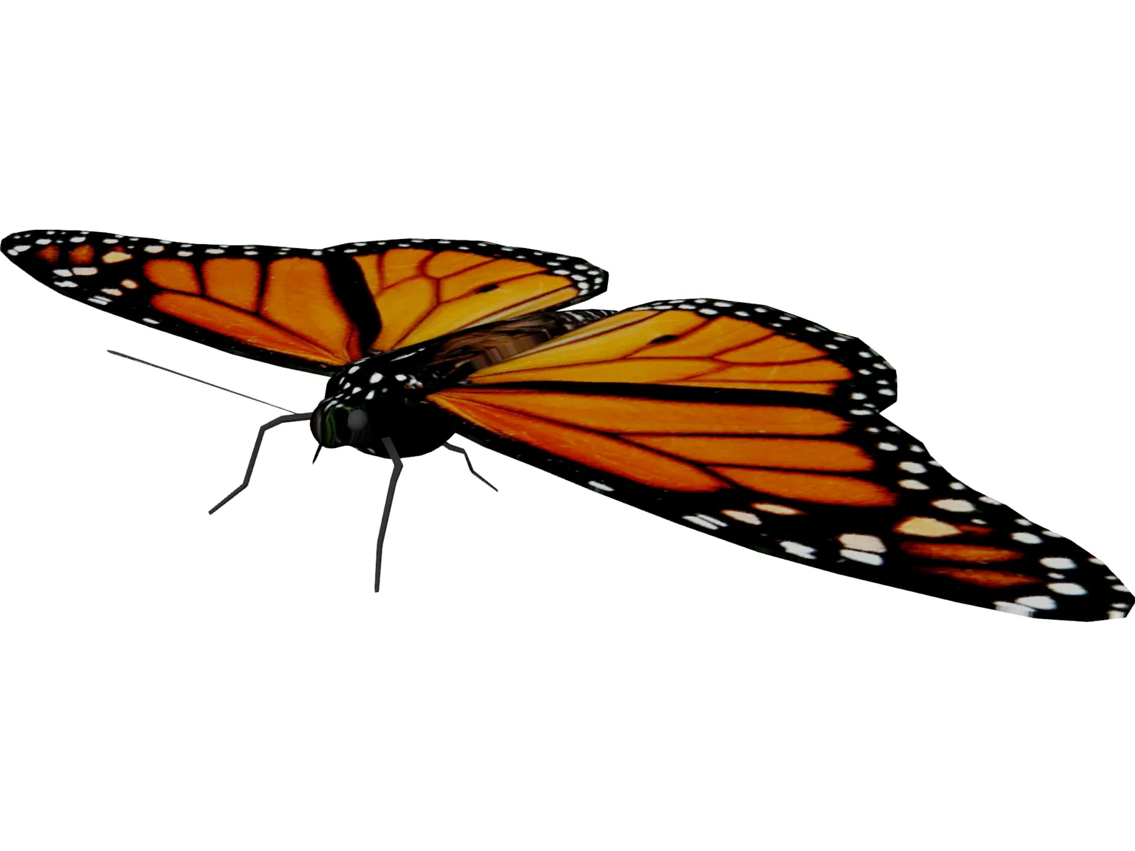 Butterfly 3D Model main preview