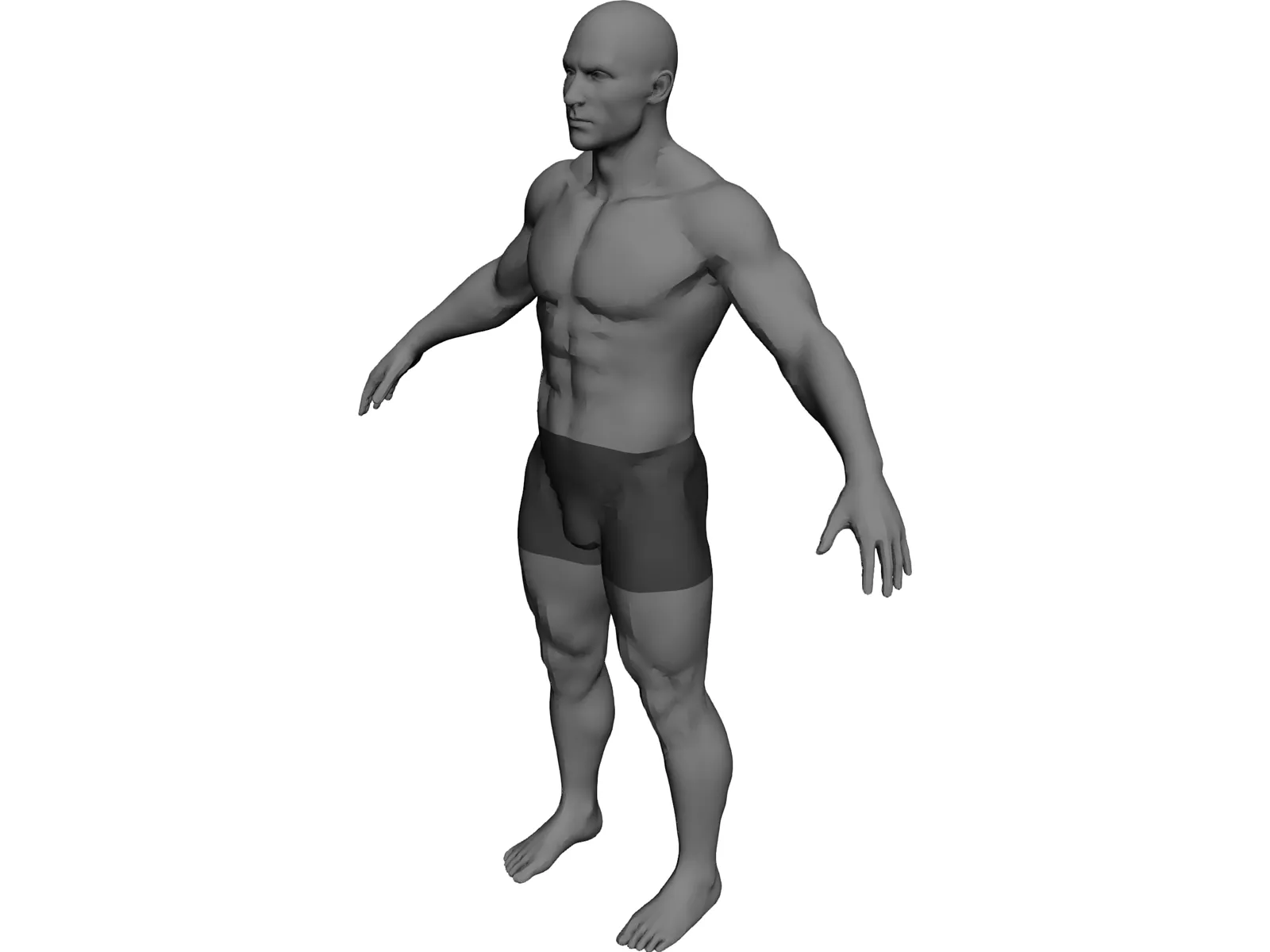 Male 3D Model main preview