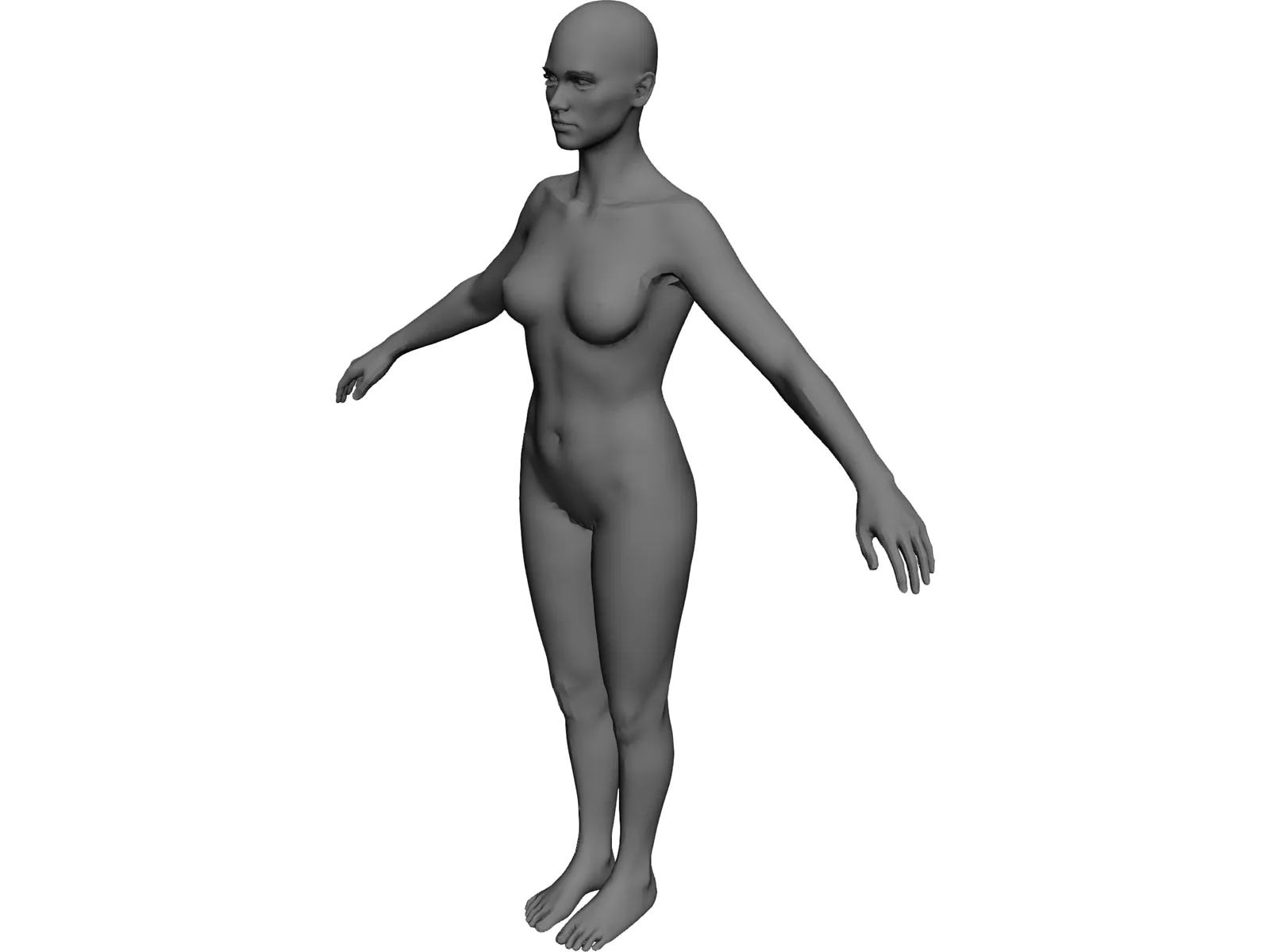 Female 3D Model main preview