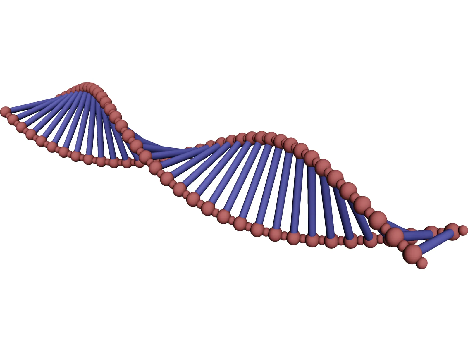 DNA Double Helix 3D Model main preview