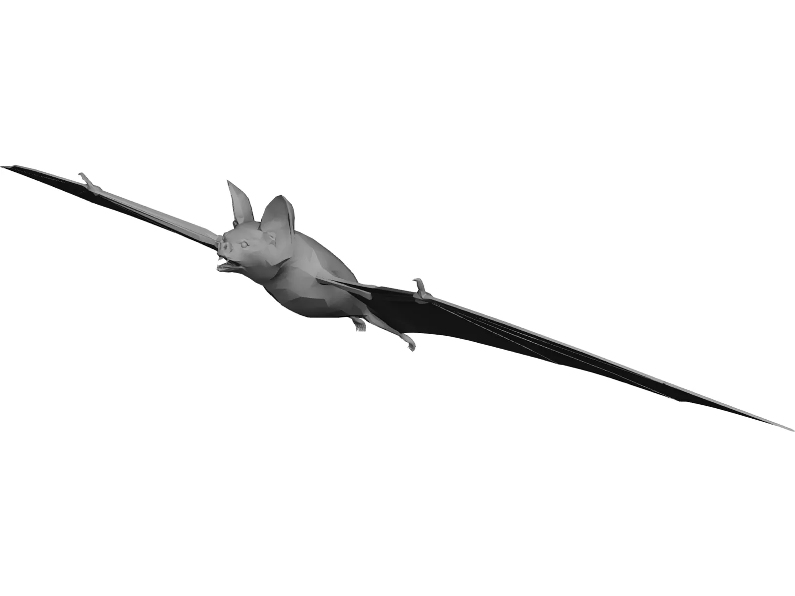 Bat 3D Model main preview