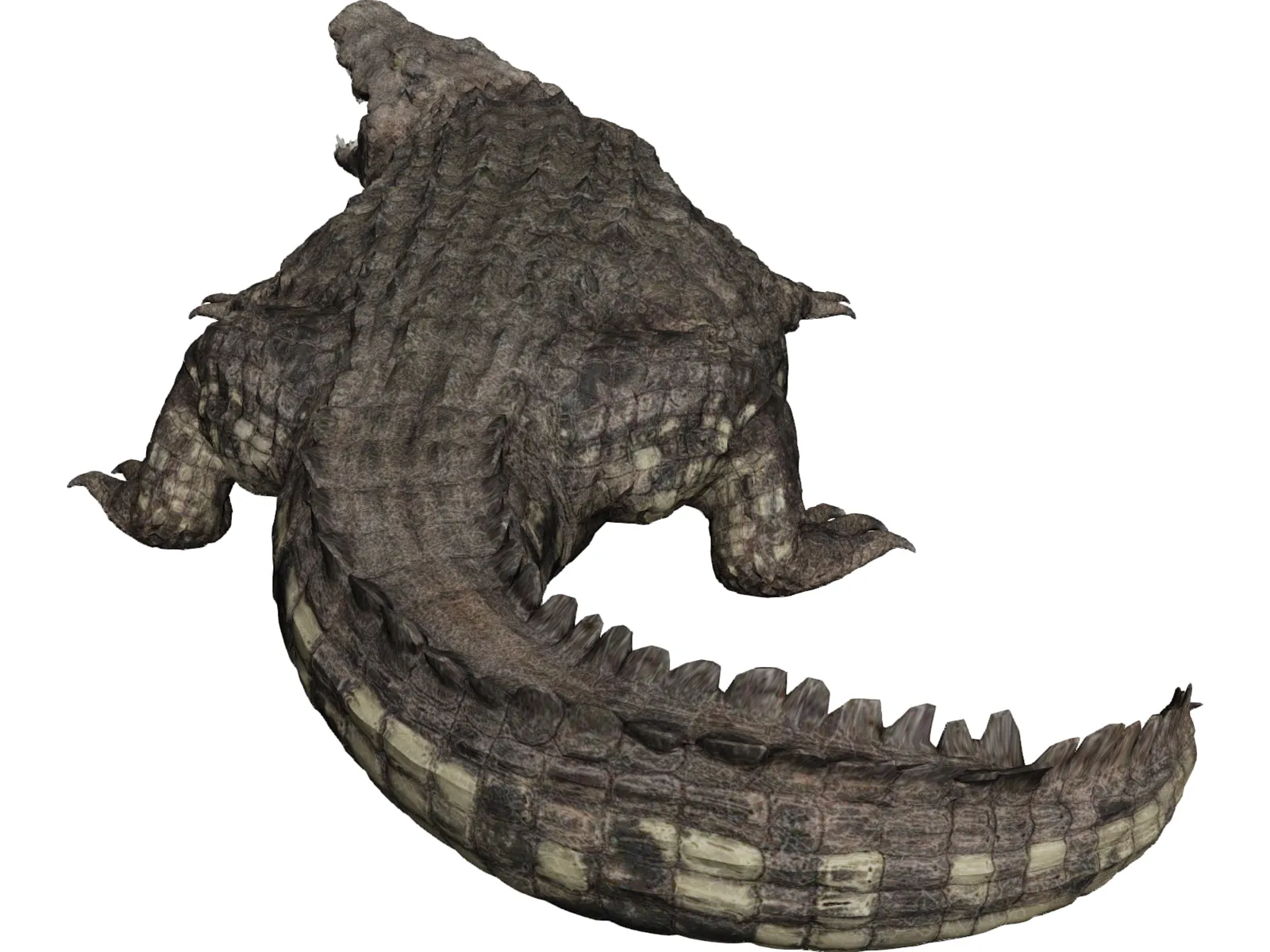 Crocodile 3D Model main preview