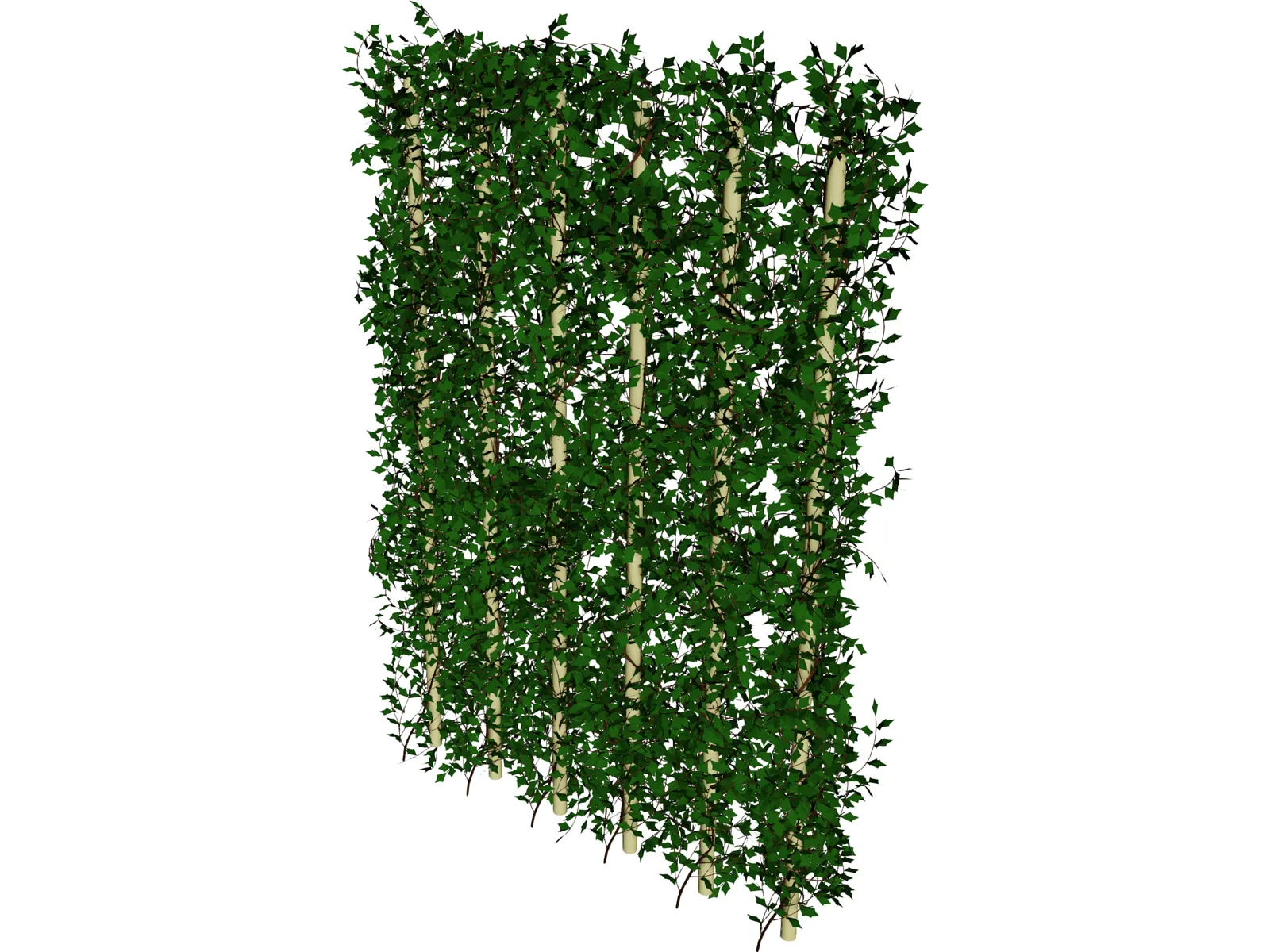 Plant Ivy 3D Model main preview