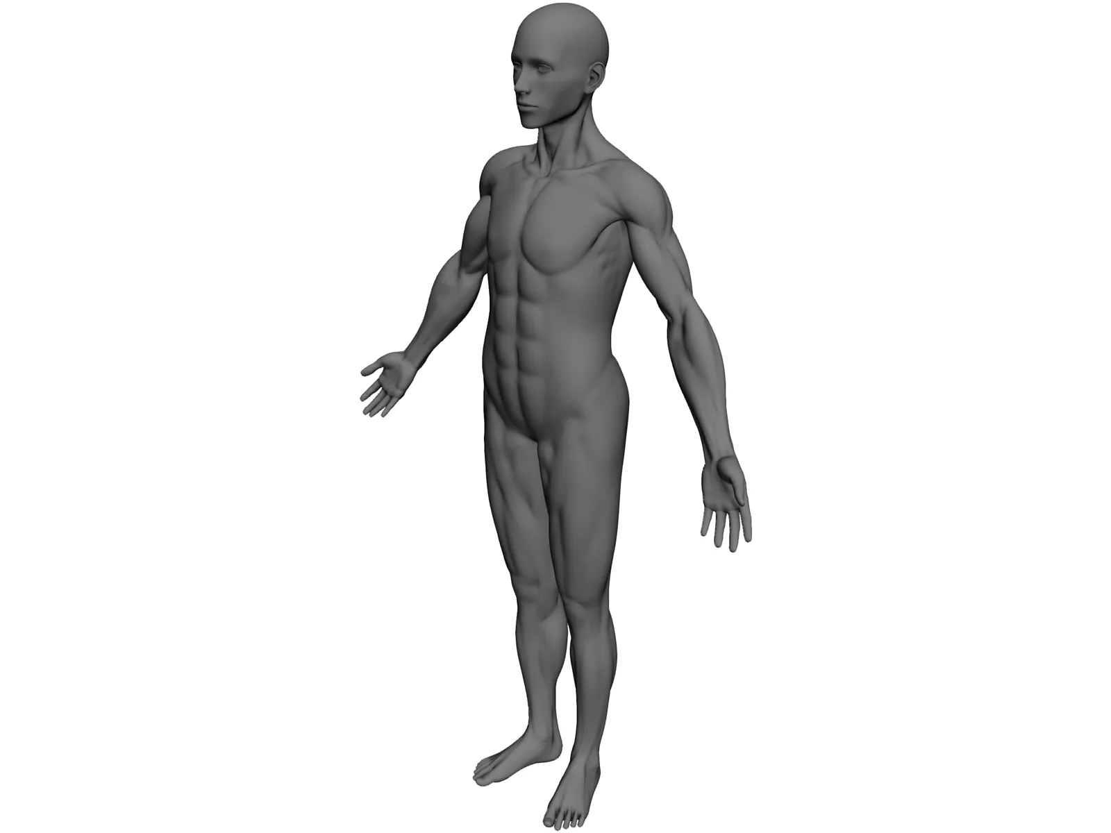 Full Human Anatomy for Simulation 3D Model main preview