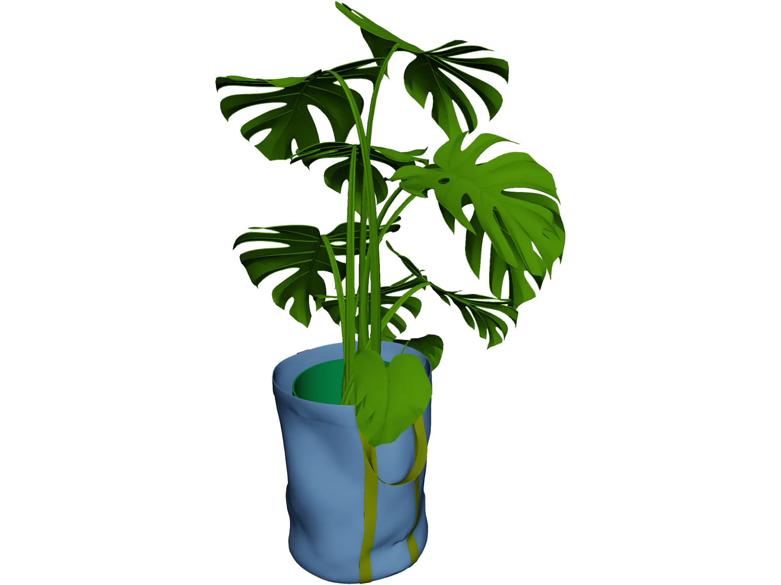 Monstera Deliciosa 3D Model main preview