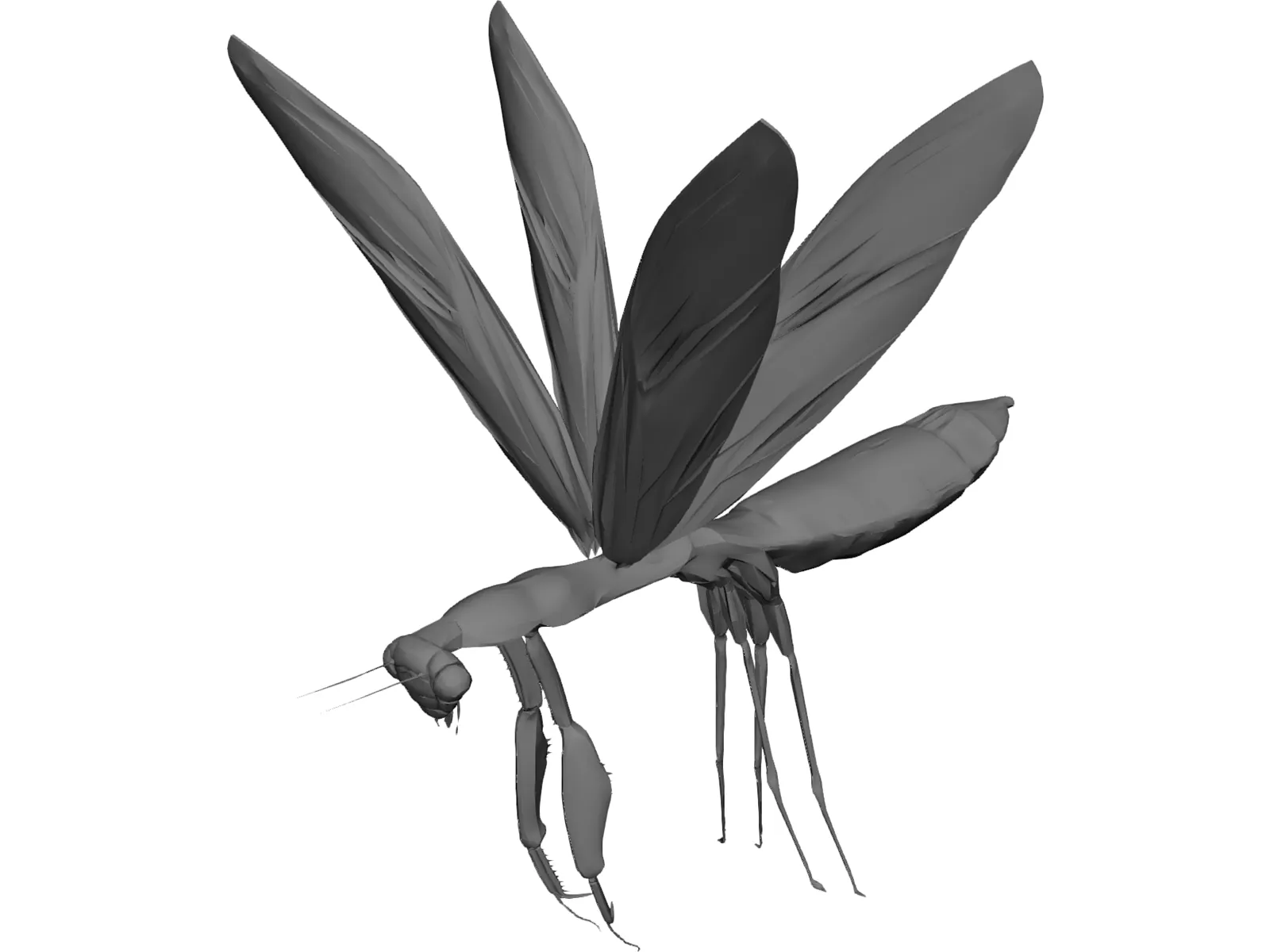 Flying Mantis 3D Model main preview