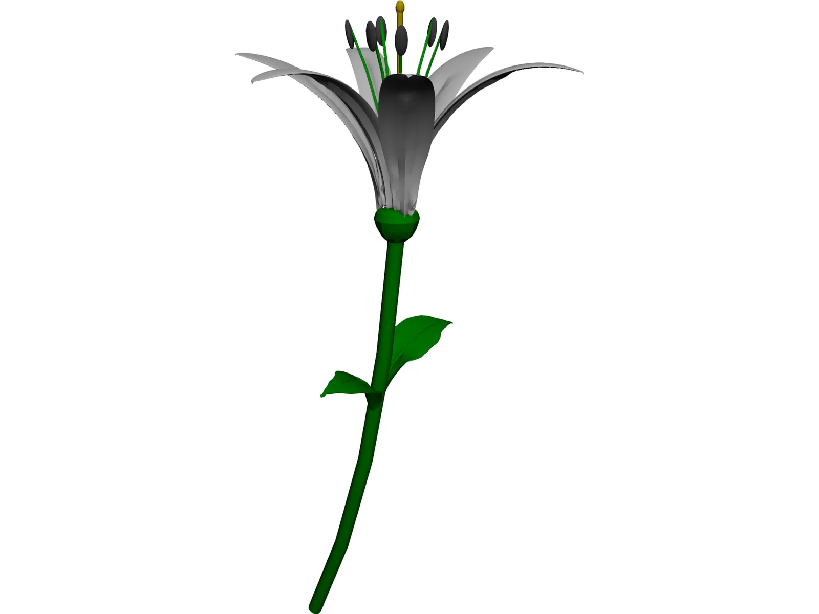 Lily 3D Model main preview