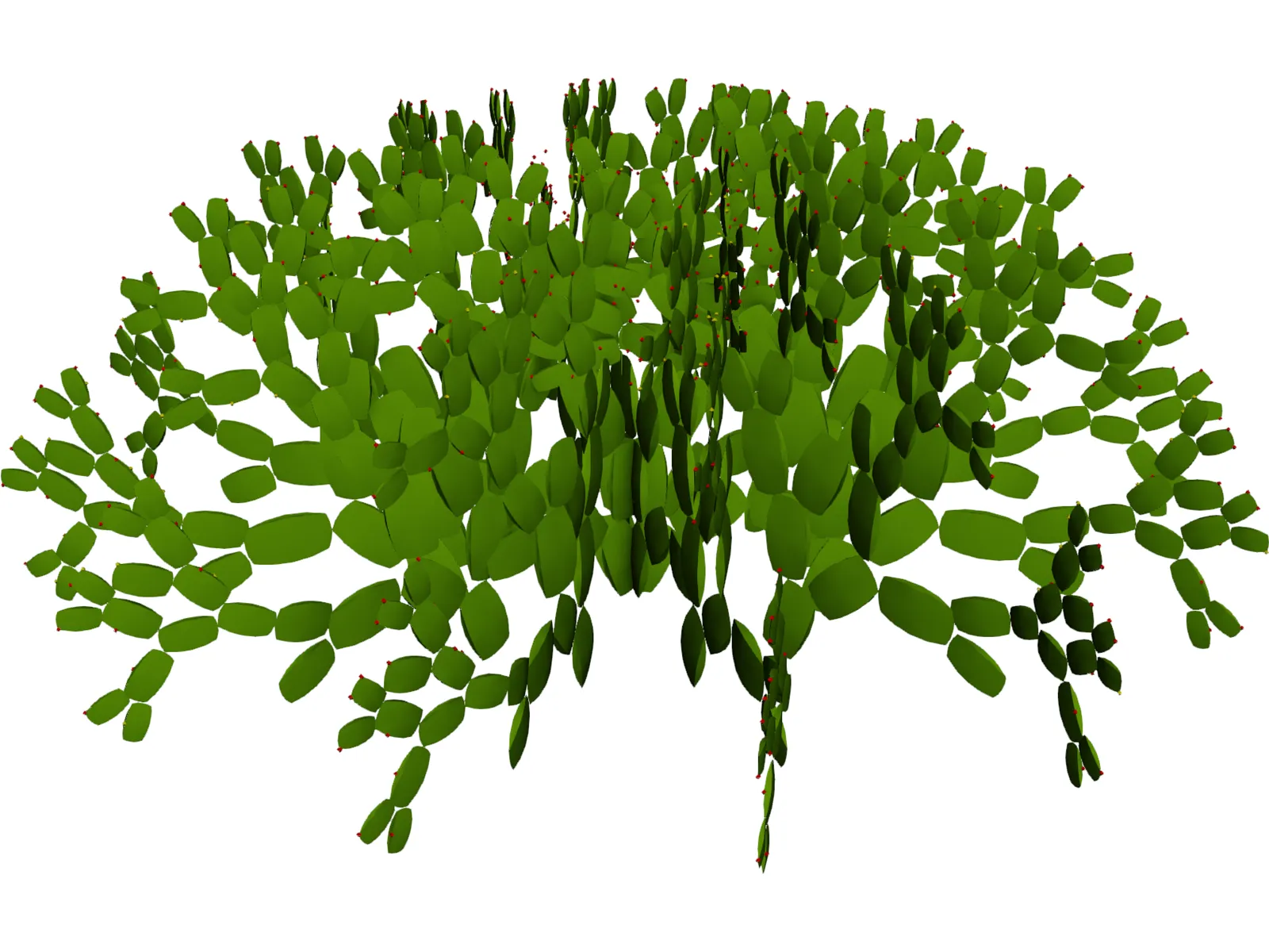 Opuntia 3D Model main preview