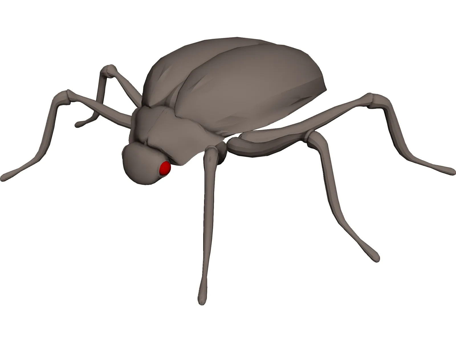 Bug 3D Model main preview