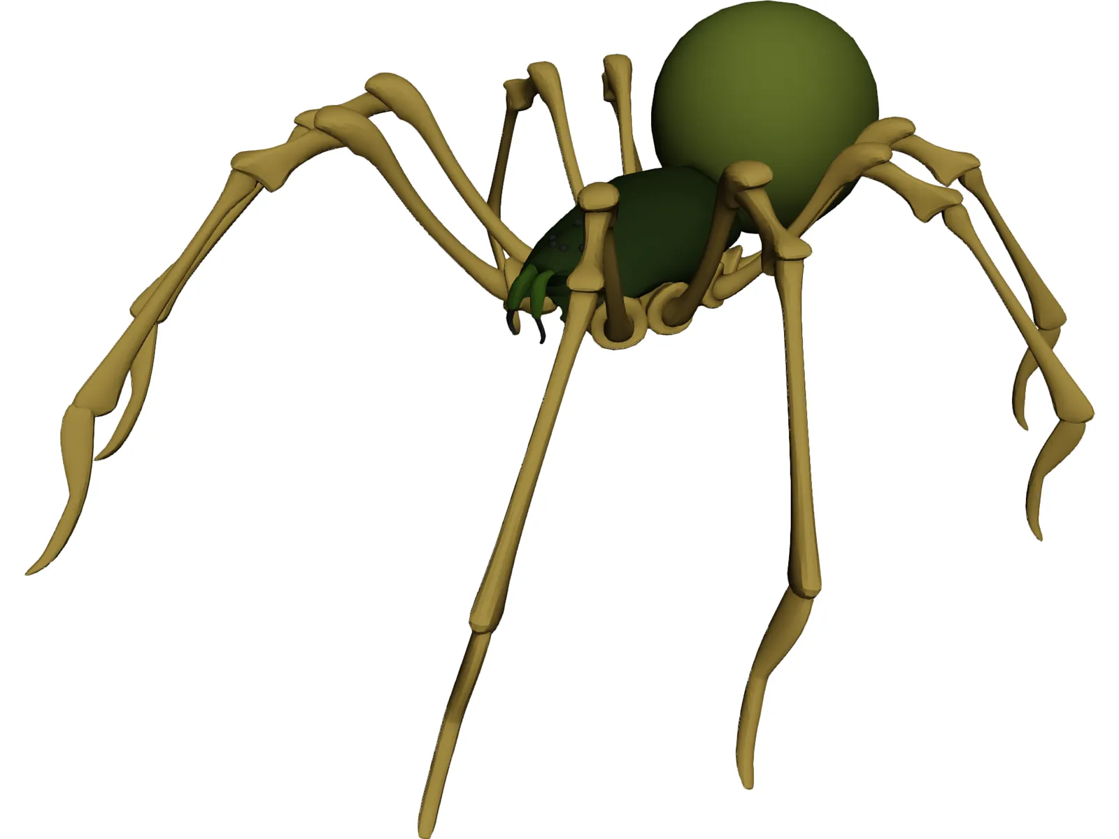 Spider 3D Model main preview