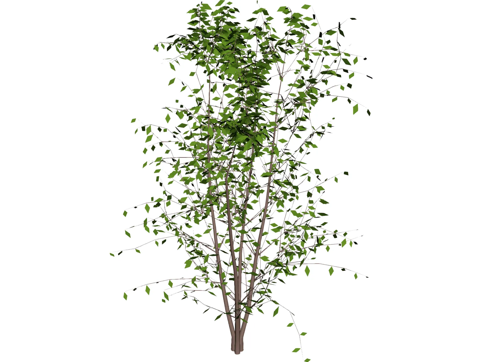 Tree 3D Model main preview