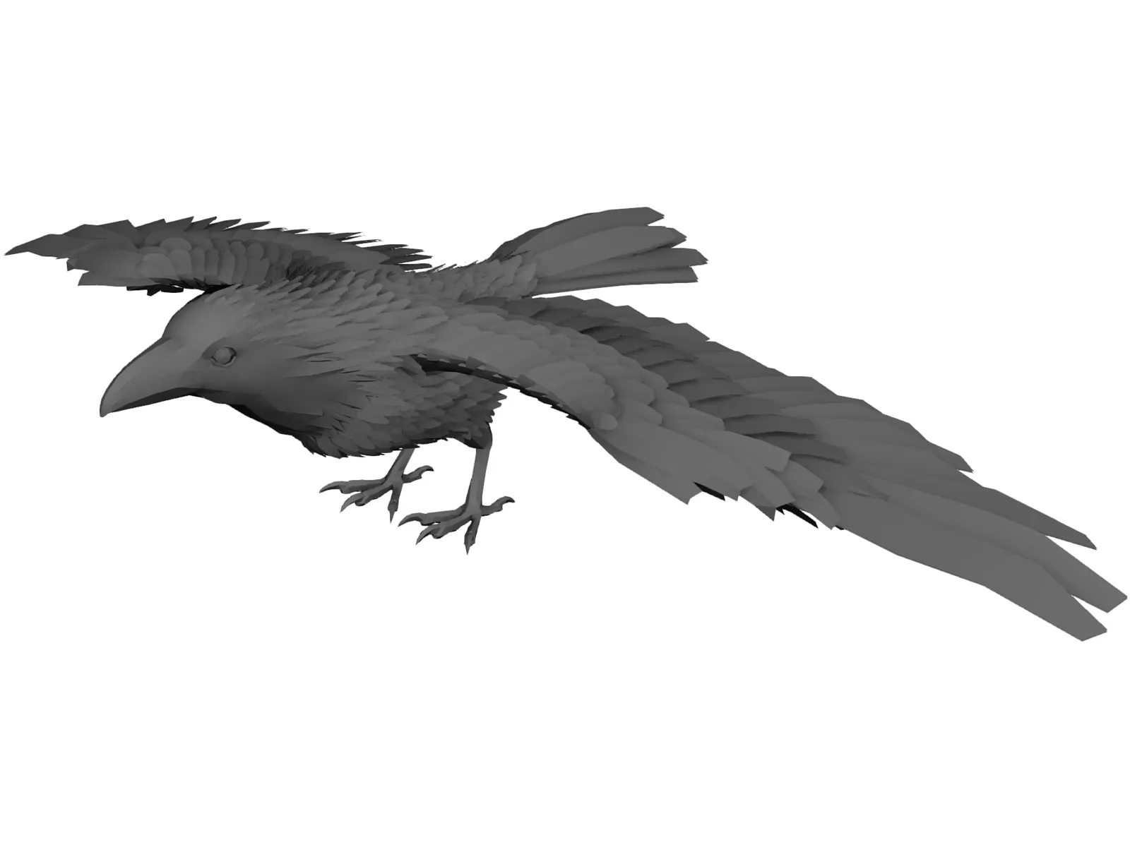 Raven 3D Model main preview