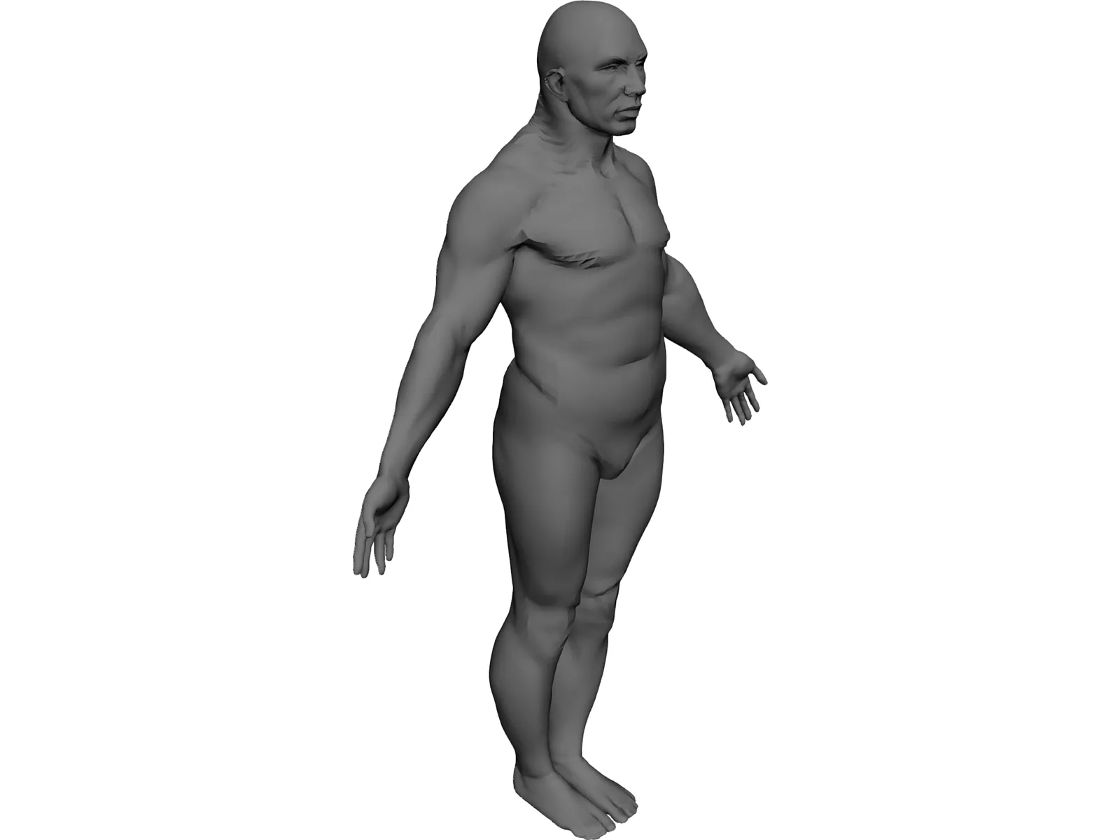 Male Human Figure 3D Model main preview