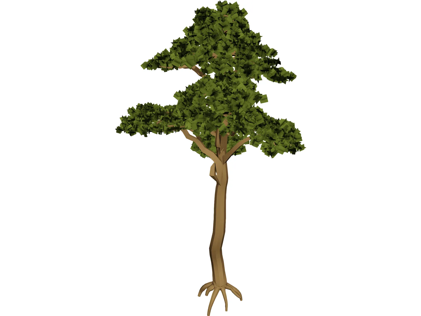 Pine 3D Model main preview