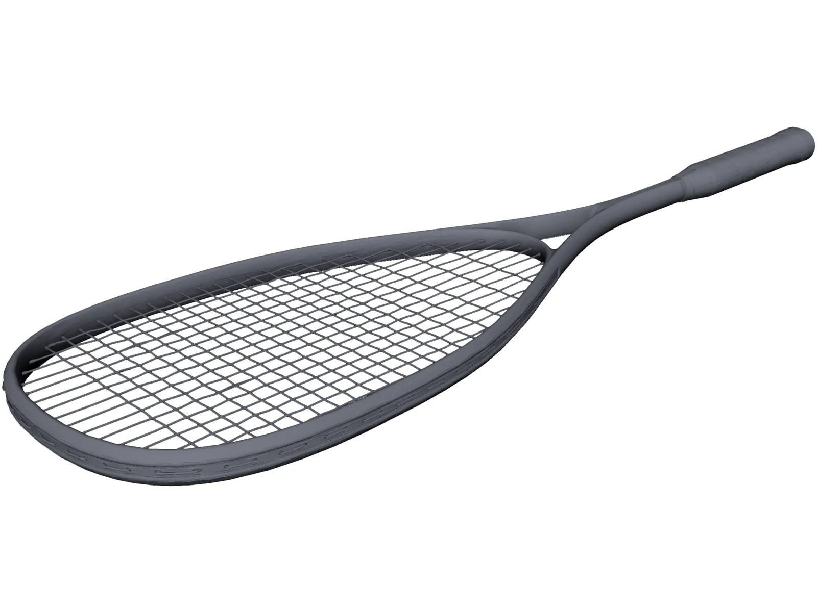 Squash Racket Dunlop 3D Model main preview