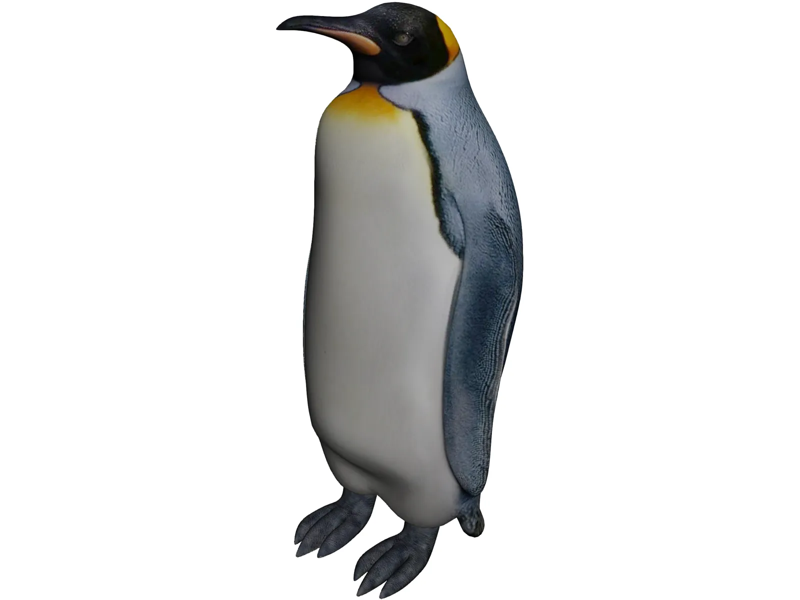 Penguin 3D Model main preview