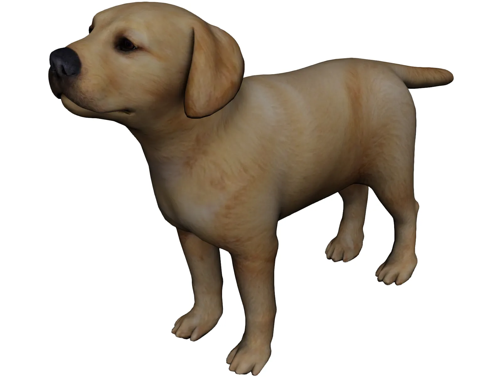 Dog 3D Model main preview