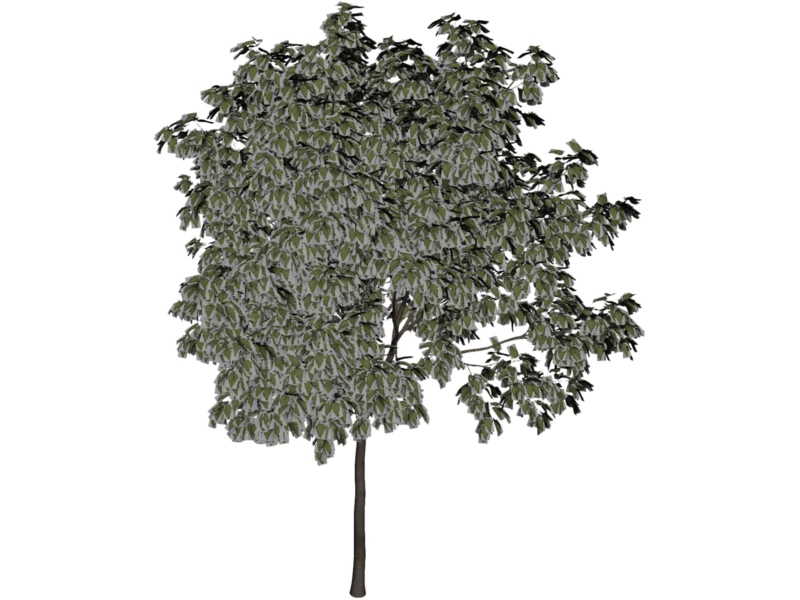 Arbol Tree 3D Model main preview