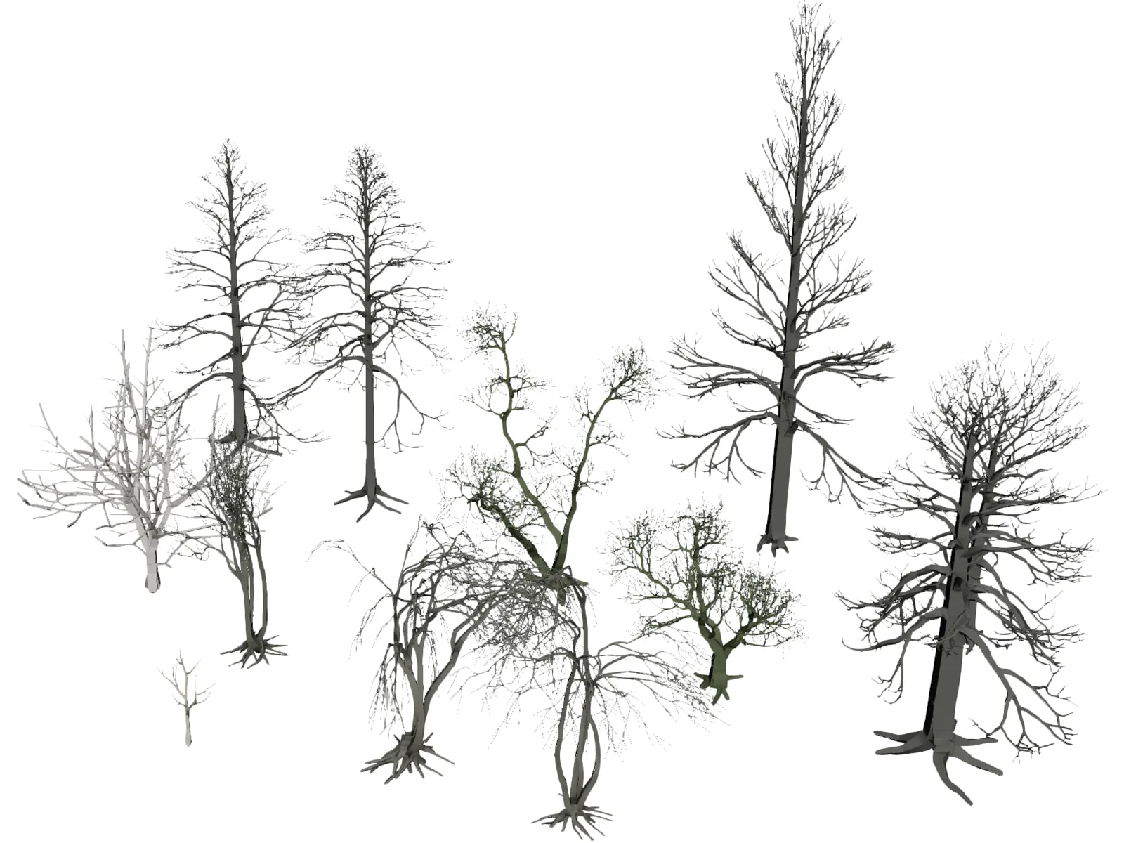 Dead Trees 3D Model main preview