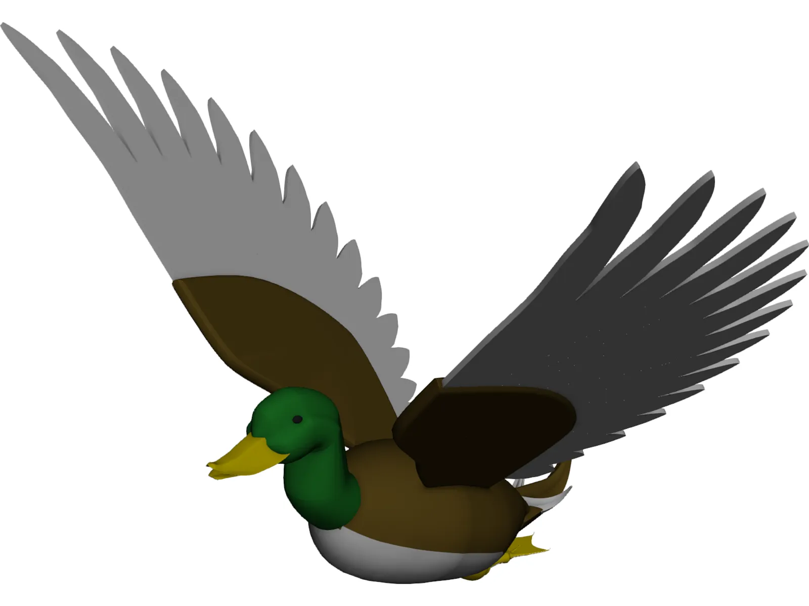 Duck Flying 3D Model main preview
