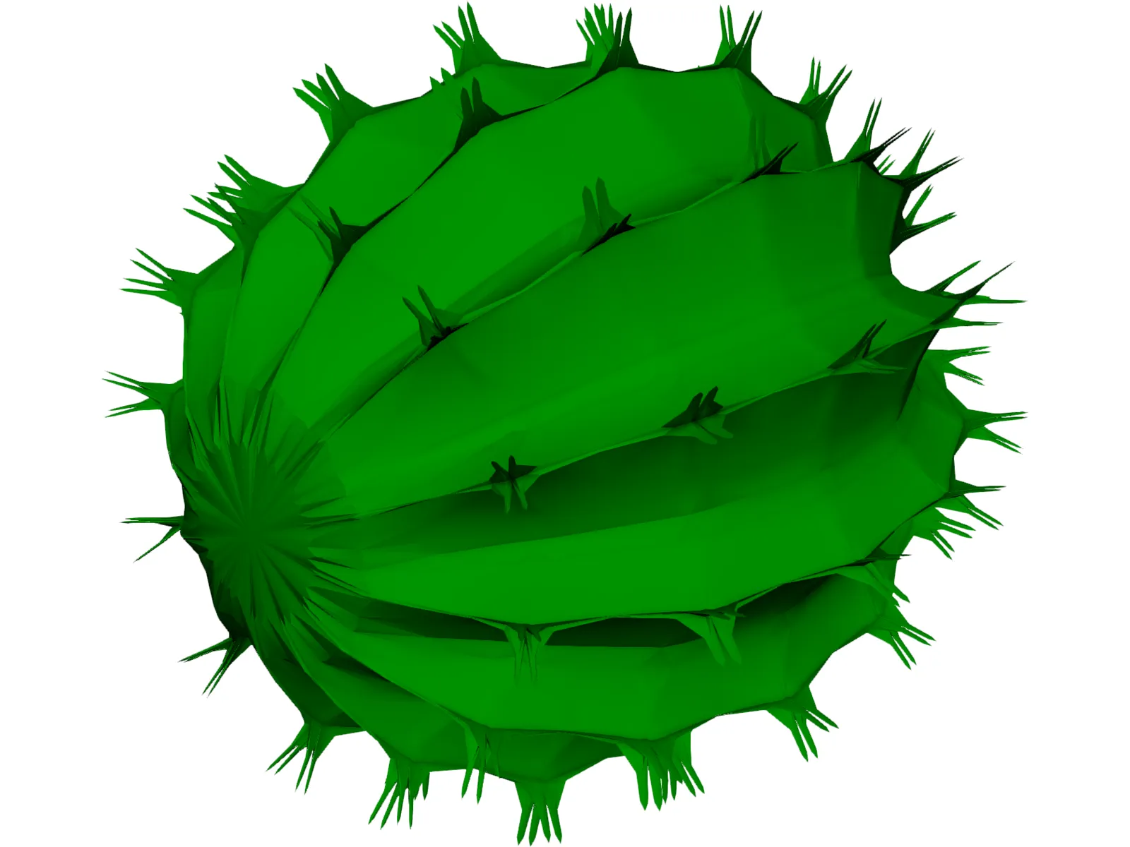 Barrel Cactus 3D Model main preview