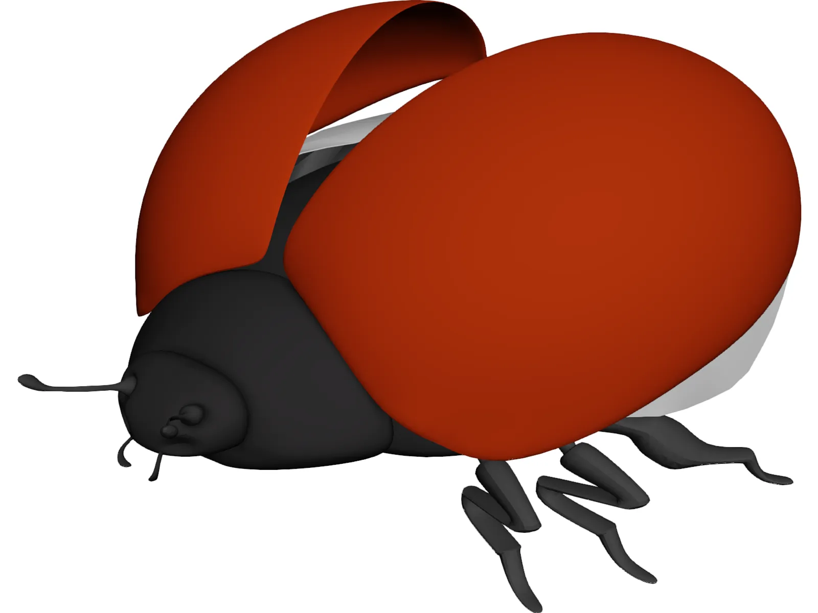 Bug Female 3D Model main preview