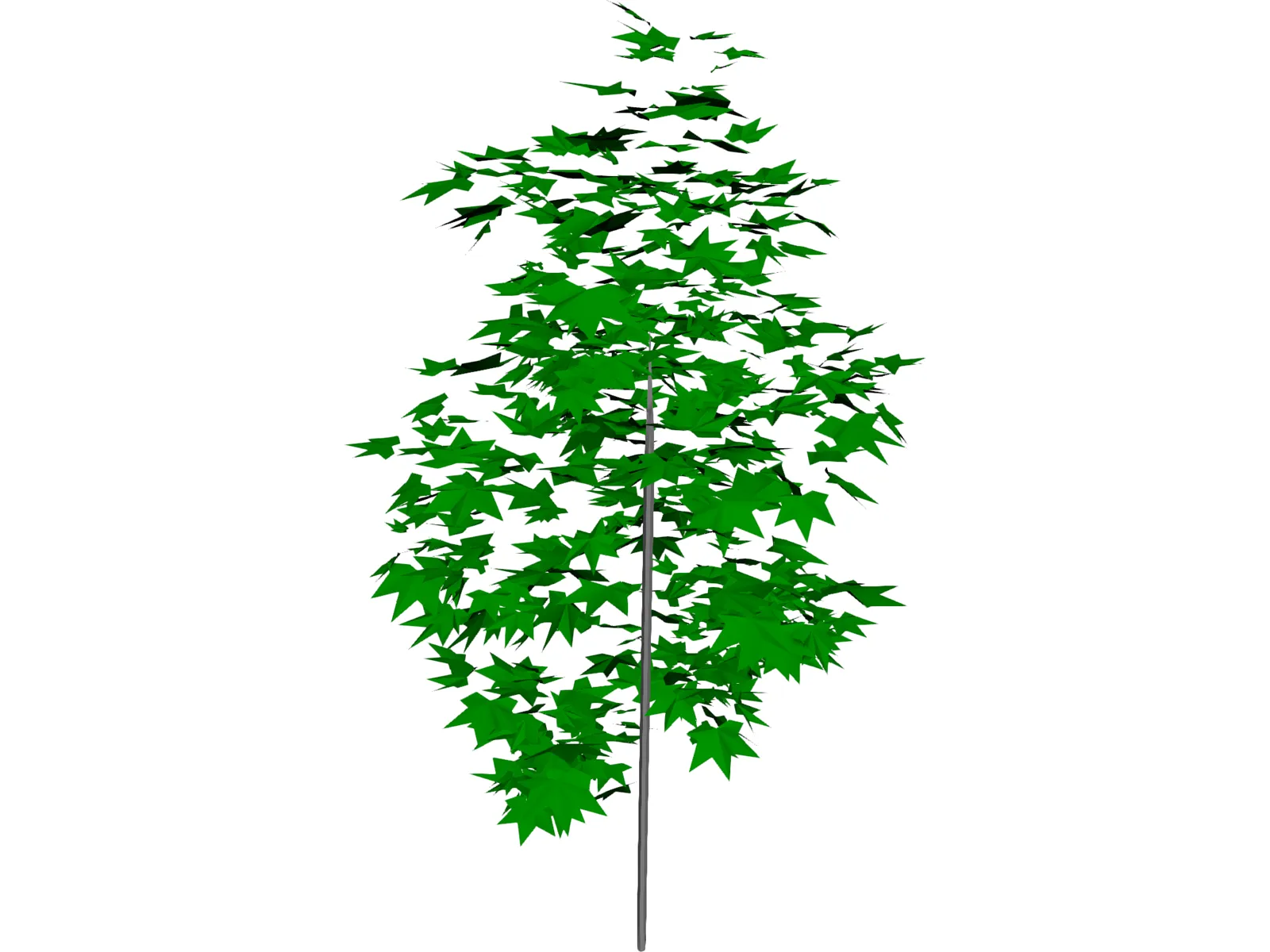 Tree 3D Model main preview