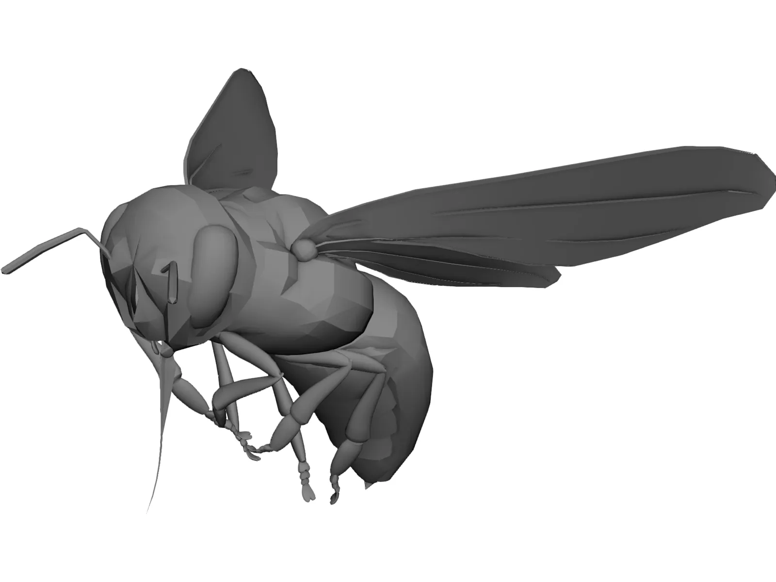 Bee 3D Model main preview