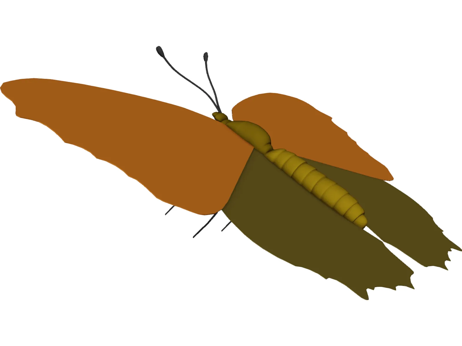 Poke Eye Butterfly 3D Model main preview