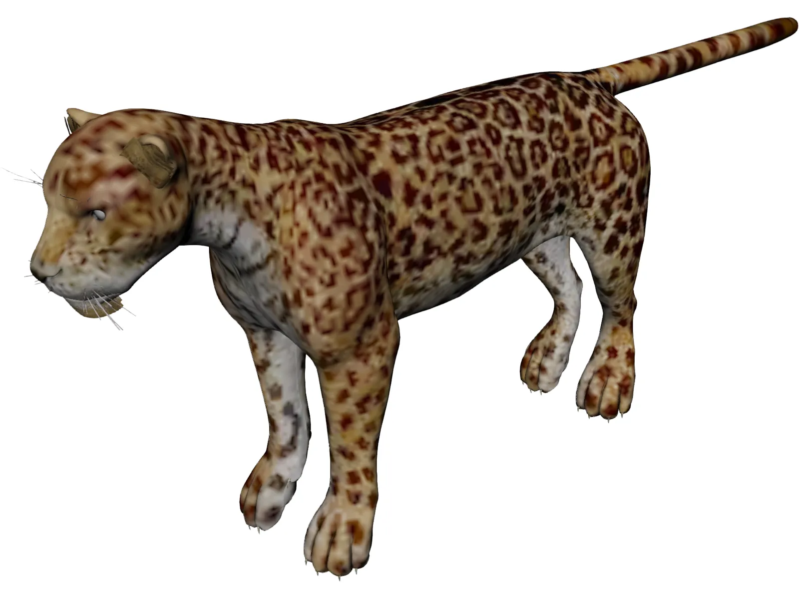 Jaguar 3D Model main preview