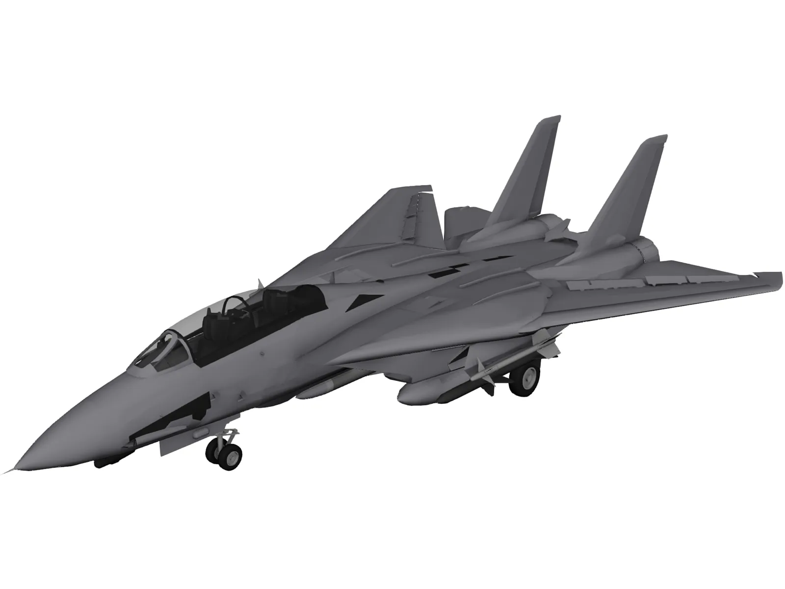 Grumman F-14D Super Tomcat 3D Model main preview