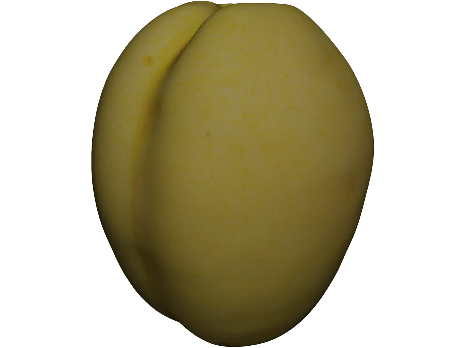 Apricot Fruit 3D Model main preview