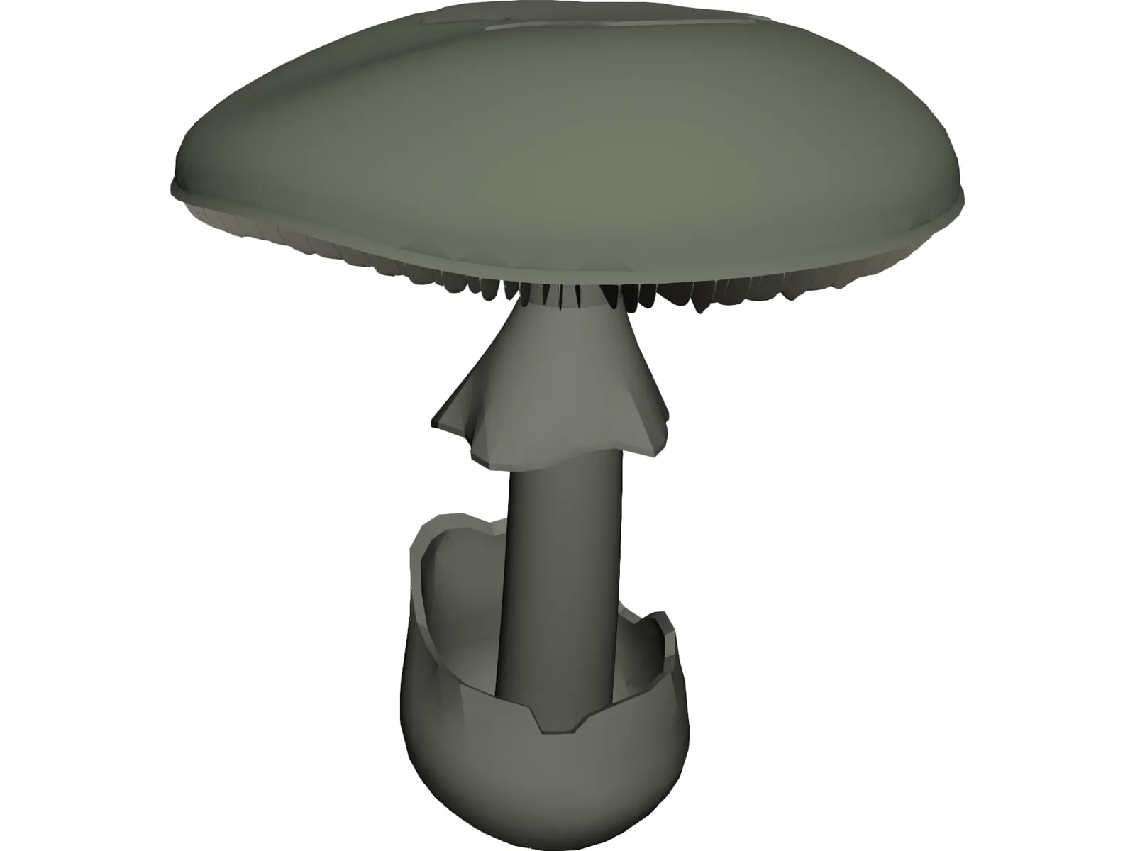 Amanita Phalloides: Death Cap Mushroom 3D Model main preview