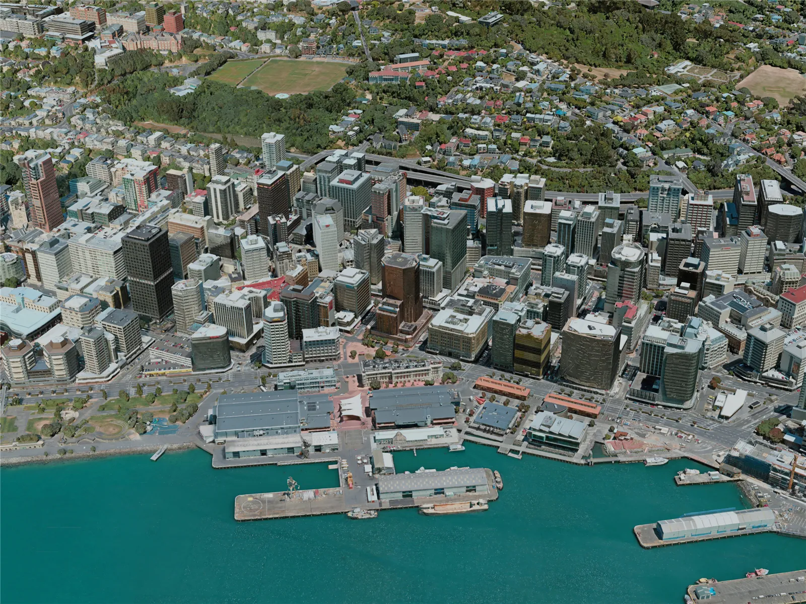 Wellington City, New Zealand (2020) 3D Model main preview
