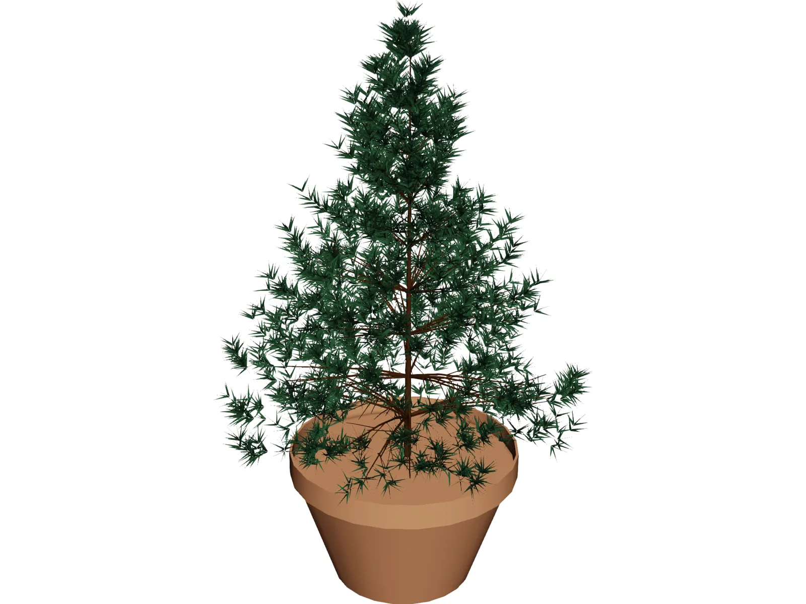 Potted Pine Tree 3D Model main preview