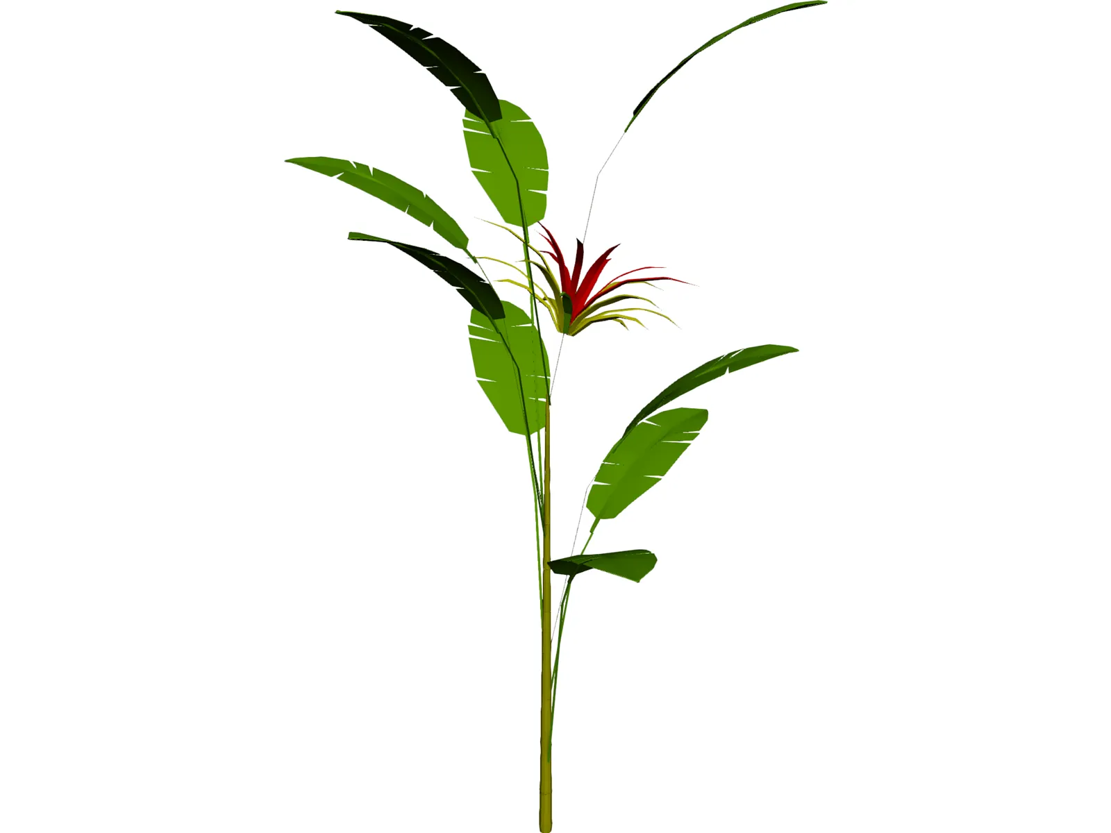Flower 3D Model main preview