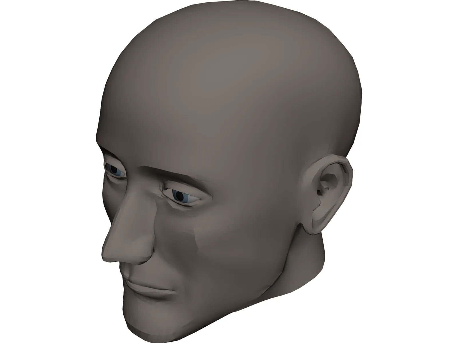 Head Human 3D Model main preview