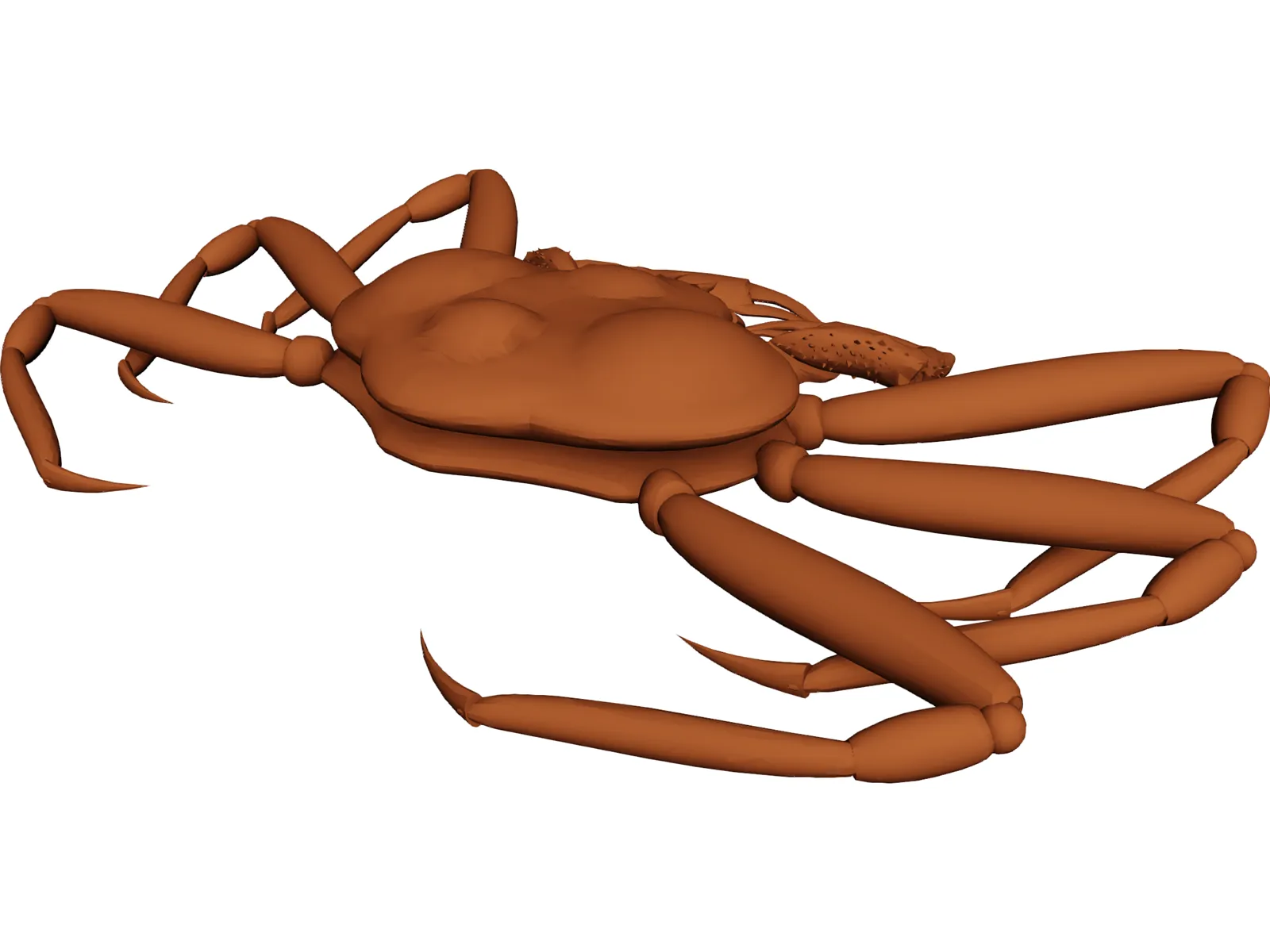 King Crab 3D Model main preview